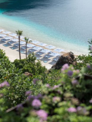 Travel навигатор: символ «другой Турции» - отель D Maris Bay - «Стиль жизни»